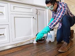 Real Estate Pest Inspections in West Hazleton, PA